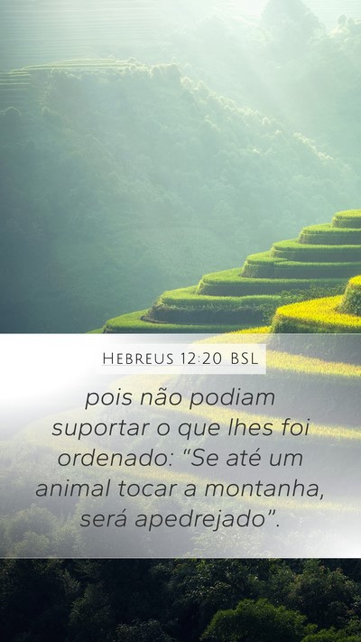 Hebreus 12:20 BSL Bible Verse Image