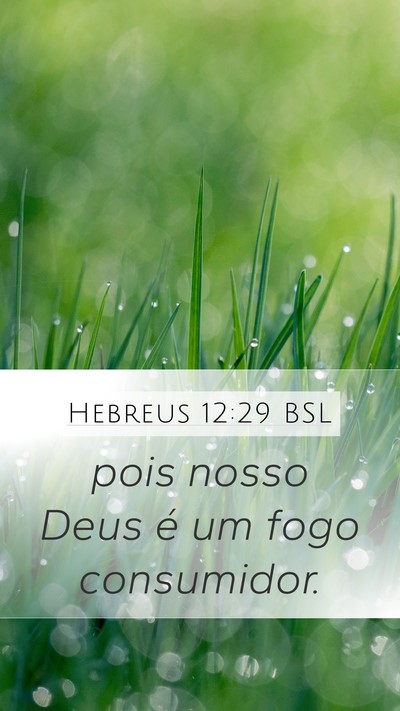 Hebreus 12:29 BSL Mobile Phone Wallpaper - pois nosso Deus é um fogo - Mobile Bible Verse Wallpaper