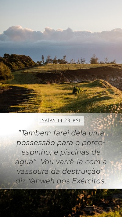 Isaías 14:23 BSL Bible Verse Image