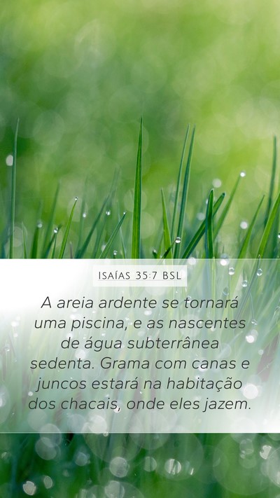 Isaías 35:7 BSL Bible Verse Image