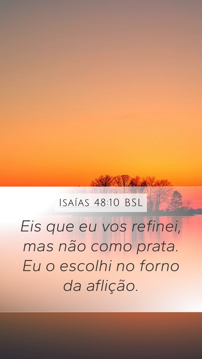 Isaías 48:10 BSL Bible Verse Image