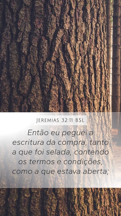 Jeremias 32:11 BSL Mobile Phone Wallpaper - Então eu peguei a escritura da compra, tanto a - Mobile Bible Verse Wallpaper