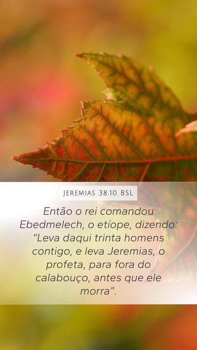 Jeremias 38:10 BSL Mobile Phone Wallpaper - Então o rei comandou Ebedmelech, o etíope, - Mobile Bible Verse Wallpaper