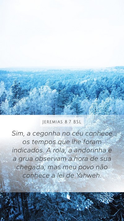 Jeremias 8:7 BSL Bible Verse Image