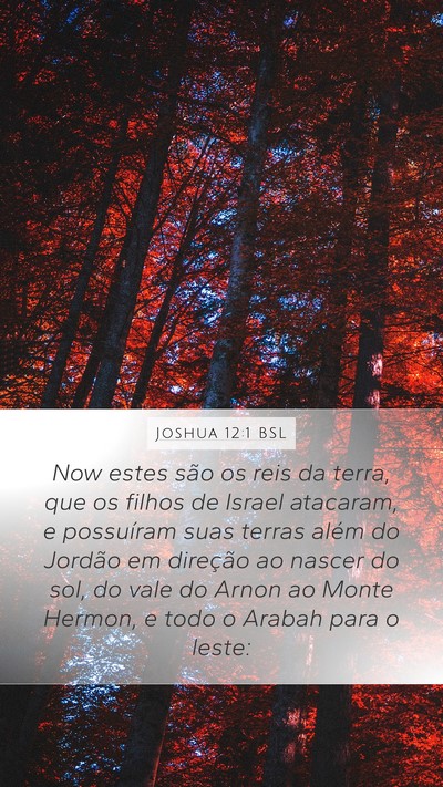 Joshua 12:1 BSL Mobile Phone Wallpaper - Now estes são os reis da terra, que os filhos de - Mobile Bible Verse Wallpaper