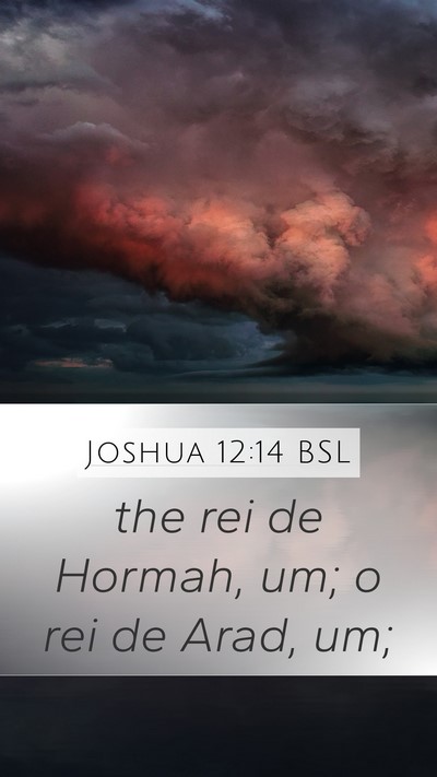 Joshua 12:14 BSL Mobile Phone Wallpaper - the rei de Hormah, um; o rei de Arad, - Mobile Bible Verse Wallpaper