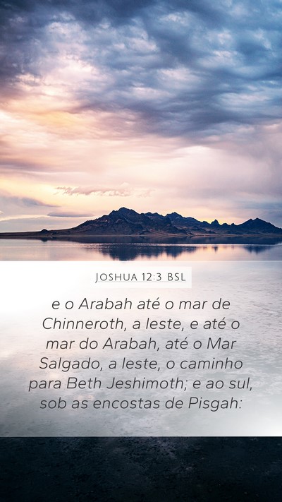 Joshua 12:3 BSL Bible Verse Image