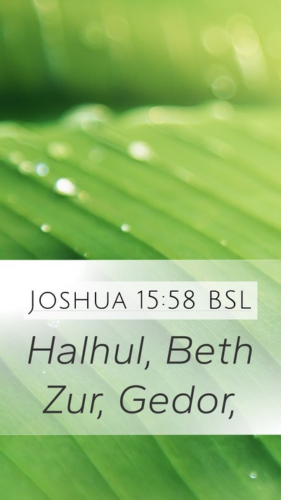 Joshua 15:58 BSL Bible Verse Image