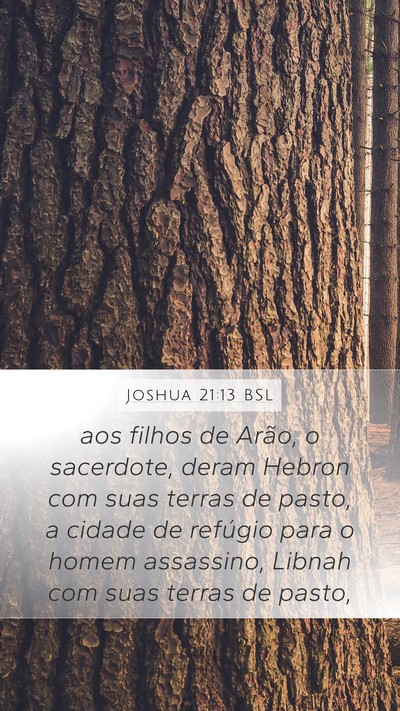 Joshua 21:13 BSL Bible Verse Image