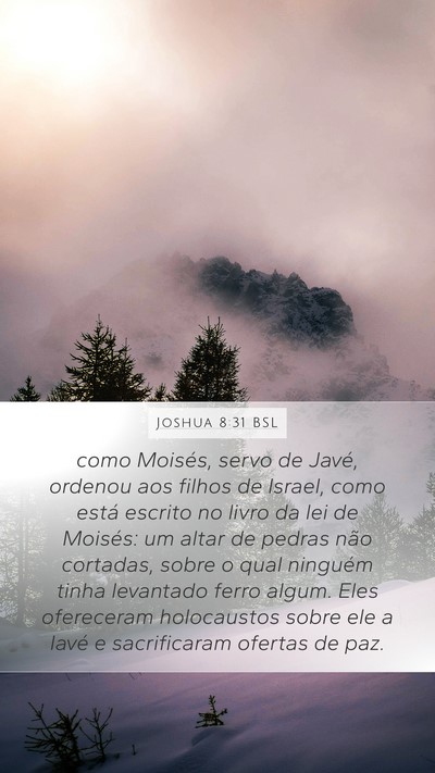 Joshua 8:31 BSL Bible Verse Image