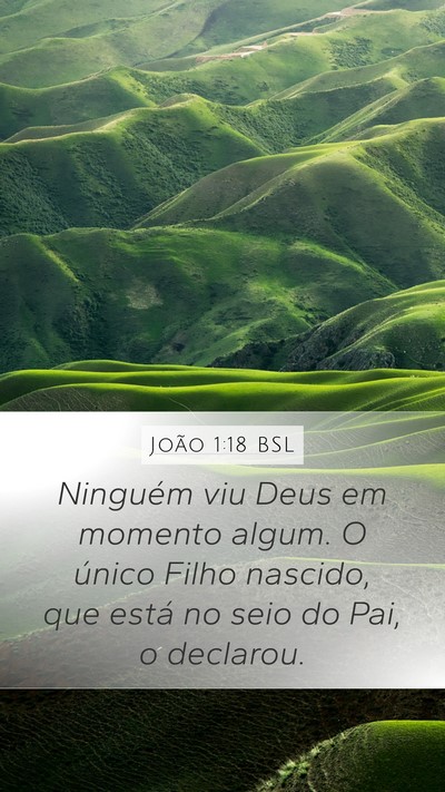 João 1:18 BSL Bible Verse Image