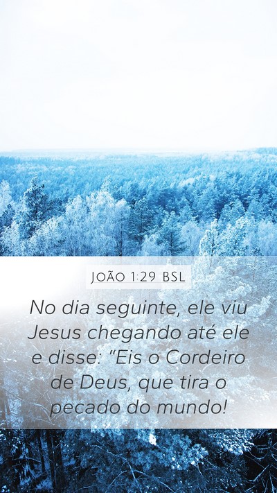 João 1:29 BSL Bible Verse Image