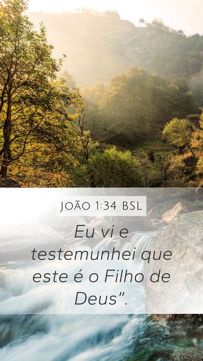 João 1:34 BSL Bible Verse Image