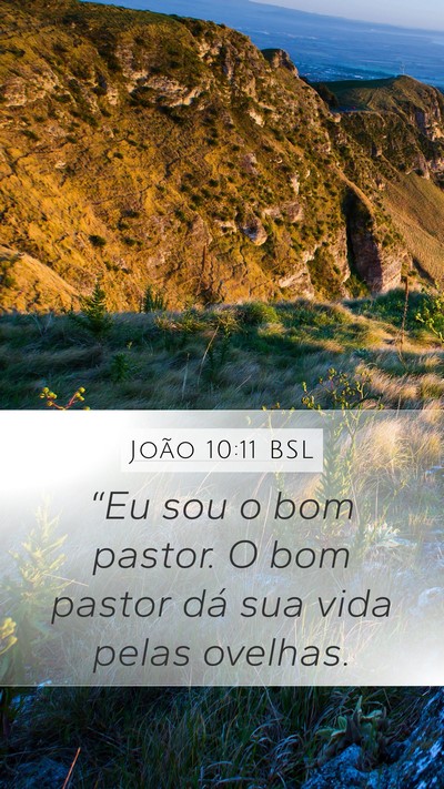 João 10:11 BSL Bible Verse Image