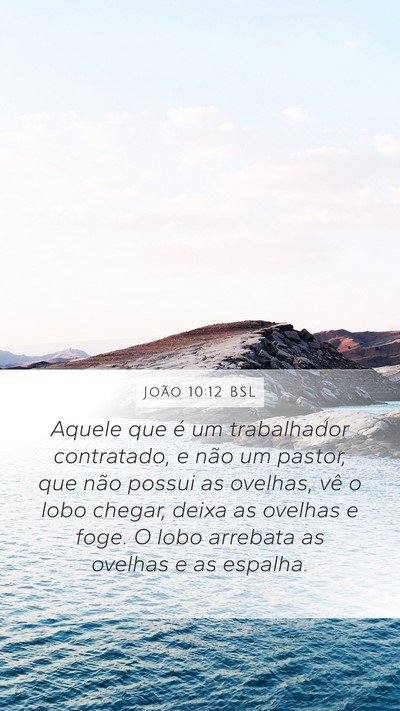 João 10:12 BSL Bible Verse Image