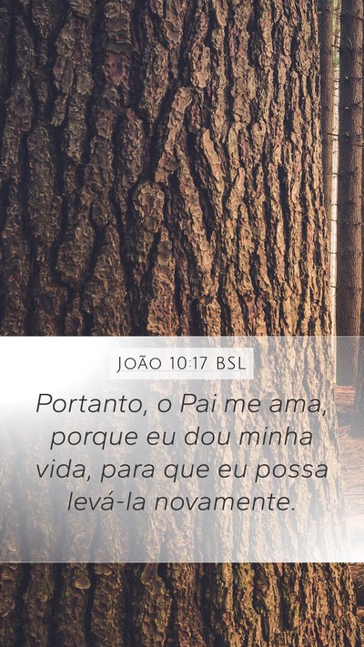 João 10:17 BSL Bible Verse Image