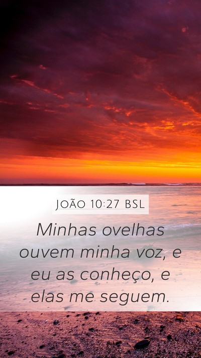 João 10:27 BSL Bible Verse Image