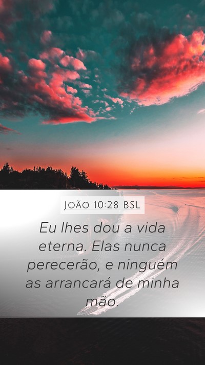 João 10:28 BSL Bible Verse Image