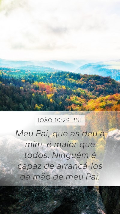 João 10:29 BSL Bible Verse Image