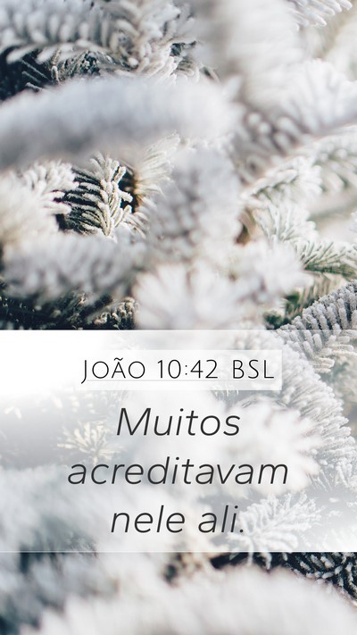 João 10:42 BSL Mobile Phone Wallpaper - Muitos acreditavam nele - Mobile Bible Verse Wallpaper