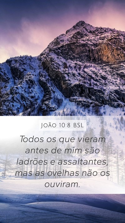 João 10:8 BSL Bible Verse Image