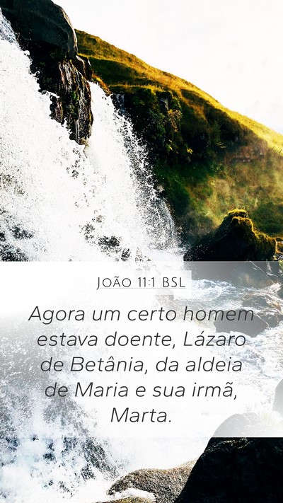 João 11:1 BSL Mobile Phone Wallpaper - Agora um certo homem estava doente, Lázaro de - Mobile Bible Verse Wallpaper