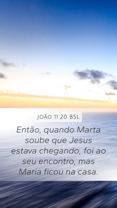 João 11:20 BSL Bible Verse Image
