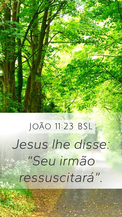 João 11:23 BSL Mobile Phone Wallpaper - Jesus lhe disse: “Seu irmão - Mobile Bible Verse Wallpaper