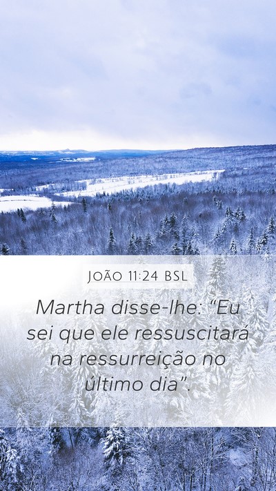 João 11:24 BSL Bible Verse Image