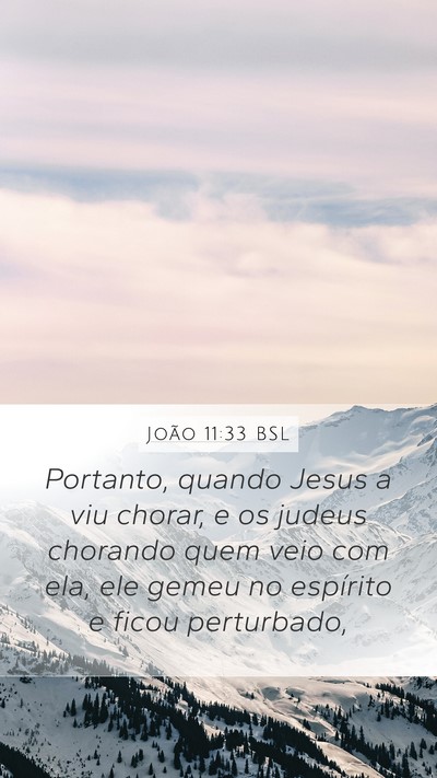 João 11:33 BSL Bible Verse Image