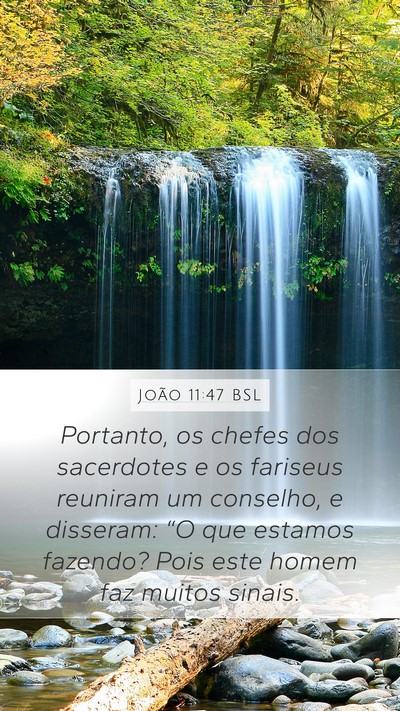 João 11:47 BSL Bible Verse Image