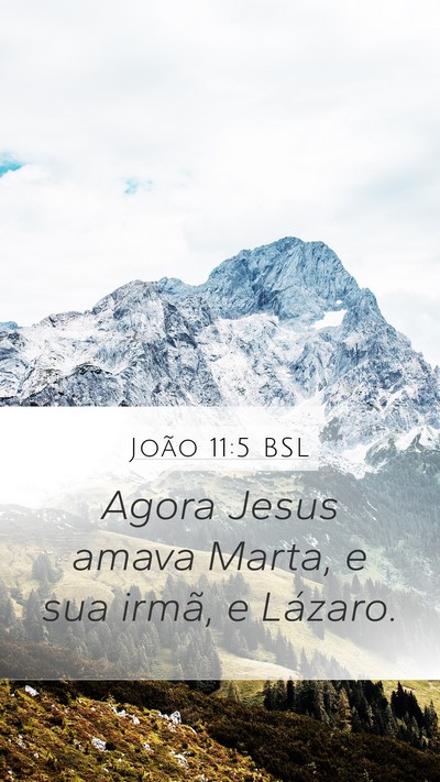João 11:5 BSL Bible Verse Image