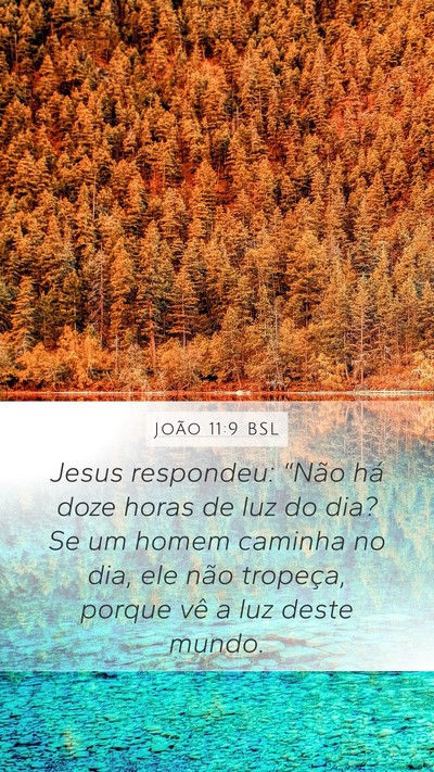 João 11:9 BSL Bible Verse Image