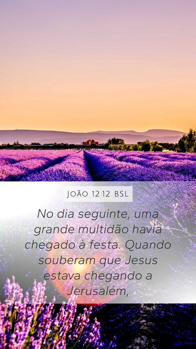 João 12:12 BSL Bible Verse Image