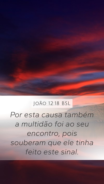João 12:18 BSL Bible Verse Image