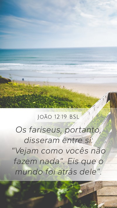 João 12:19 BSL Bible Verse Image