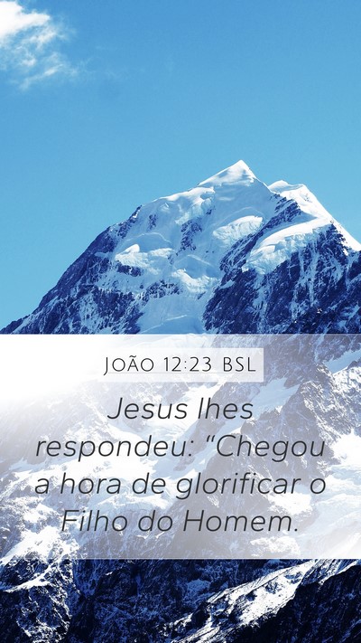 João 12:23 BSL Bible Verse Image