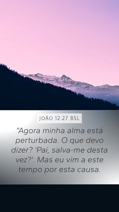João 12:27 BSL Bible Verse Image