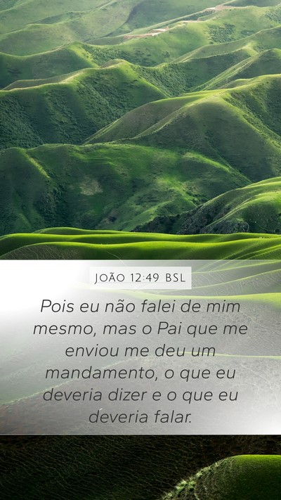 João 12:49 BSL Bible Verse Image