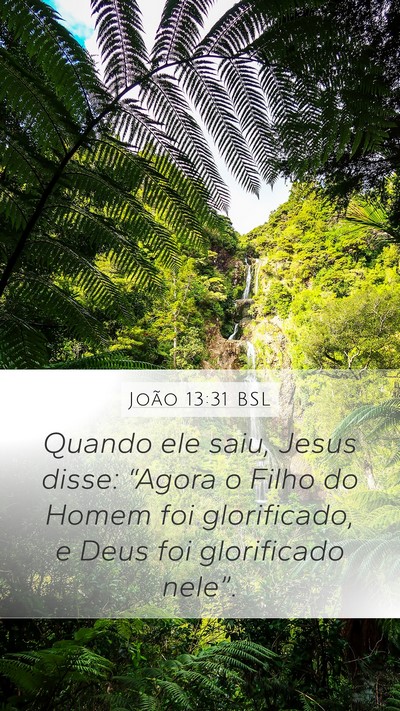 João 13:31 BSL Bible Verse Image