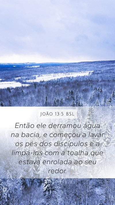 João 13:5 BSL Bible Verse Image