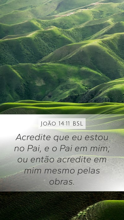 João 14:11 BSL Bible Verse Image