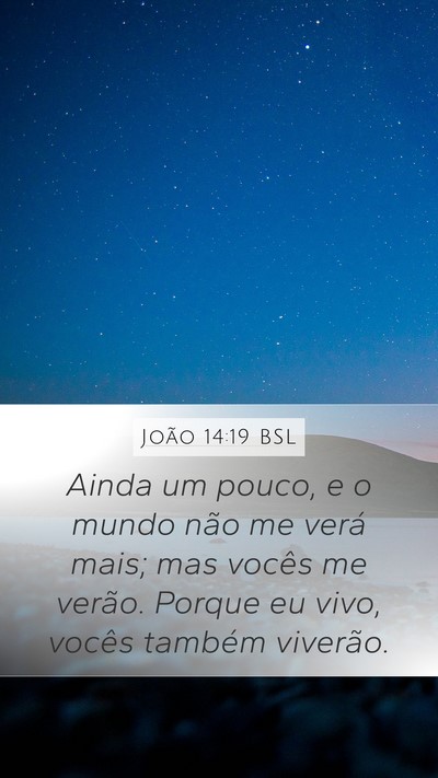 João 14:19 BSL Bible Verse Image