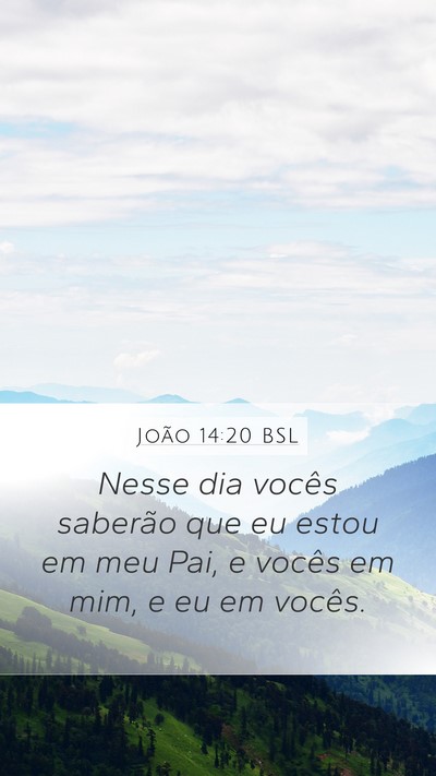 João 14:20 BSL Bible Verse Image