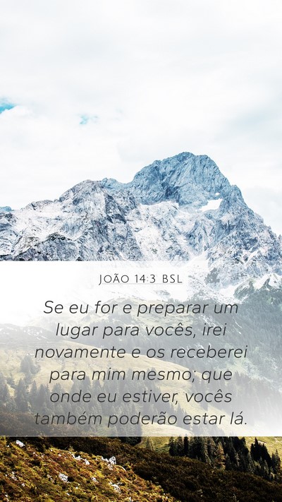 João 14:3 BSL Bible Verse Image