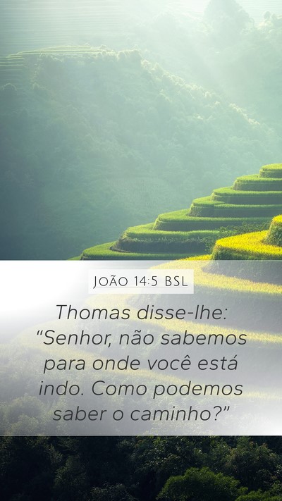 João 14:5 BSL Bible Verse Image