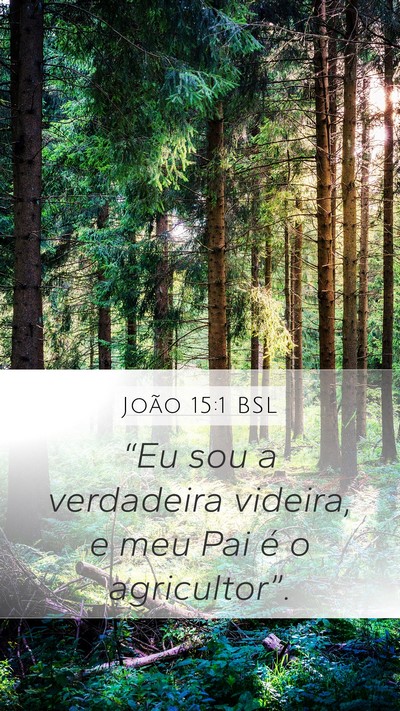 João 15:1 BSL Mobile Phone Wallpaper - “Eu sou a verdadeira videira, e meu Pai é o - Mobile Bible Verse Wallpaper