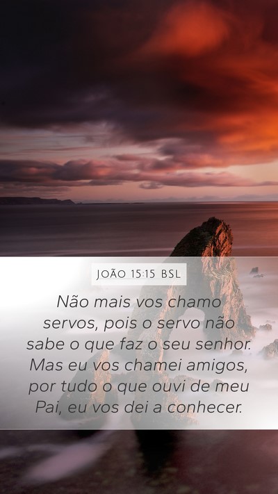 João 15:15 BSL Bible Verse Image