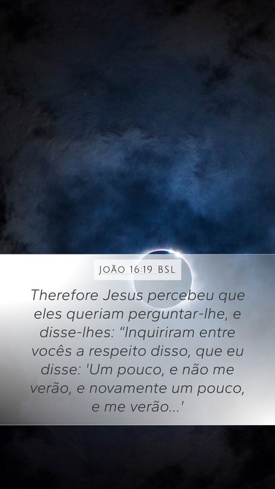 João 16:19 BSL Bible Verse Image