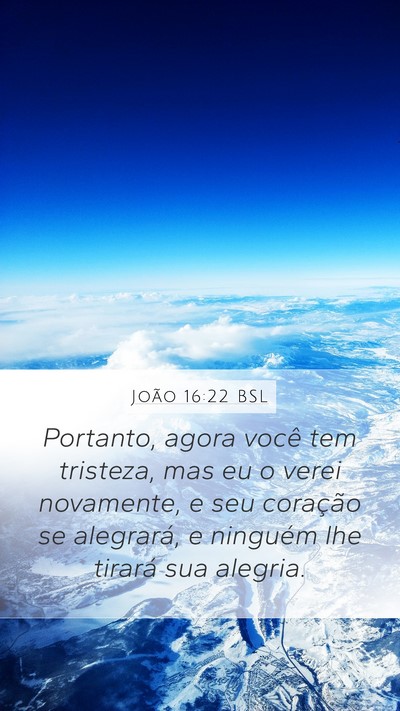 João 16:22 BSL Bible Verse Image